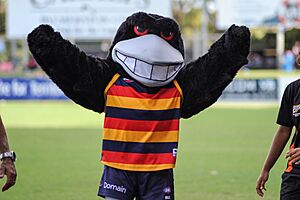 Adelaide FC Masoct