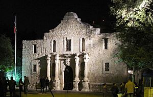 Alamo night