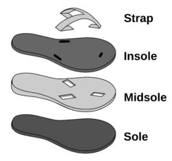 Anatomy of Sandals