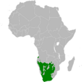 Anthoscopus minutus distribution map