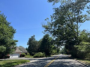 Auerbach Avenue on August 8, 2022.