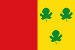 Flag of Aldeanueva de Figueroa