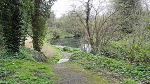 Bennett's Hole and River Wandle 1