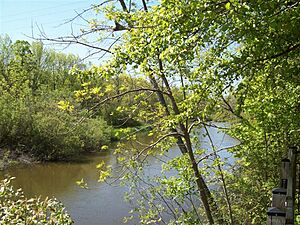 Betsie River off of Bike Trail