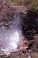 Big Alcove Spring