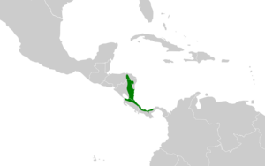 Cantorchilus thoracicus map.svg