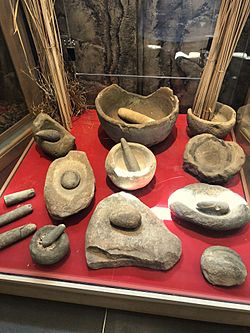 Chumash indian museum mortars pestles