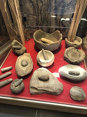 Chumash indian museum mortars pestles