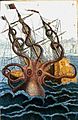 Colossal octopus by Pierre Denys de Montfort