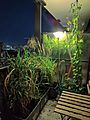Condominium balcony container gardening at night