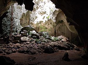 Cueva Lucero in Guayabal