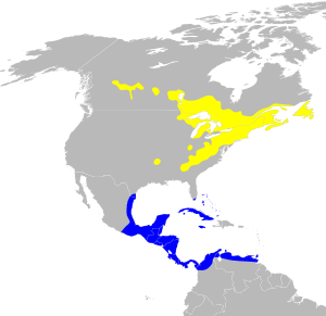 Dendroica virens map.svg