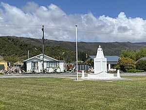 Denniston Road Scenic Reserve