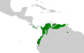 Dryobates kirkii map
