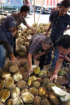 Durian on sale near Cirebon