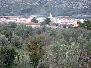 The town of Benigembla