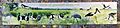 Fogg Dam signs - Birds of the Grassed Shallows (01)