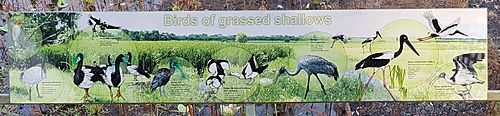Fogg Dam signs - Birds of the Grassed Shallows (01)