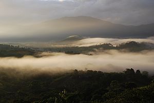 Foggy scenic view of Dominican Mountains, Cordillera Central