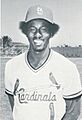 Garry Templeton Cardinals