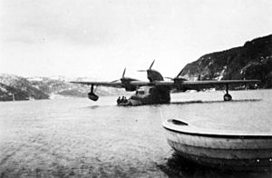 German flying boat in Hemnfjorden