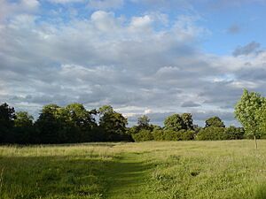Hell Wath Nature Reserve - geograph.org.uk - 485835