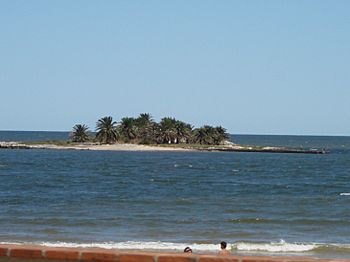 Isla de las Gaviotas - panoramio