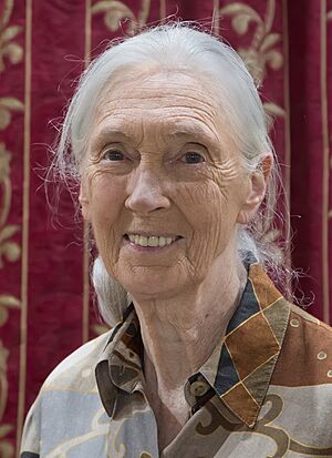 Jane-goodall (cropped).jpg