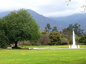 LA County Arboretum - fountain