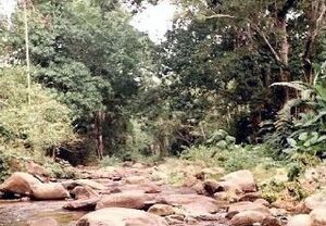 La Trilla, Rio Ocumare, Aragua - Venezuela