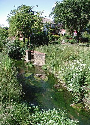 Laceby Beck - geograph.org.uk - 873027