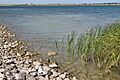 Lake pflugerville 2012