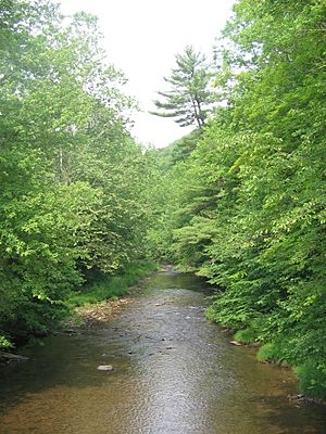 Larrys Creek in Salladasburg