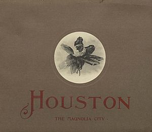 Magnolia City Houston