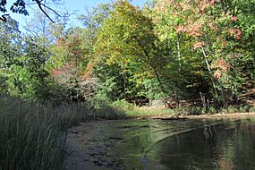 Maryland - Martins Pond Site - 20211027133442