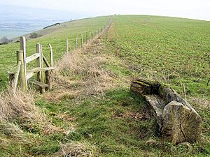 Memorial Bench on Iford Hill - geograph.org.uk - 1143825.jpg
