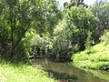 Merri Creek