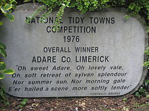 National Tidy Towns Comptetition Adare 1976