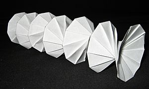 Origami spring