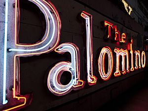 Palomino neon sign at Valley Relics Museum 2017-05-07
