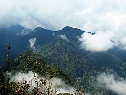 Pico de Loro en el PNN Farallones de Cali-Colombia