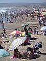 Playa Grande de Cartagena (Chile)