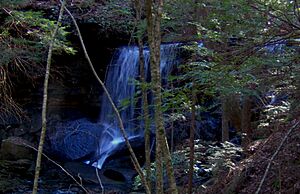 Polly-branch-falls-tennessee