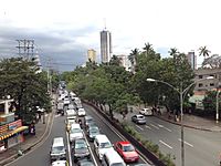 Quirino Avenue.jpg