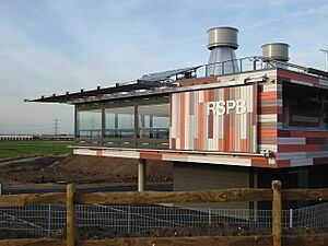 RSPB Environment and Education Centre, Rainham Marshes