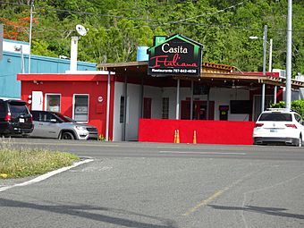 Restaurante La Casita Italiana. Carr. PR-14, Ave. Tito Castro, Bo. Cerrillos, Ponce, PR, mirando al sur (DSC01405)