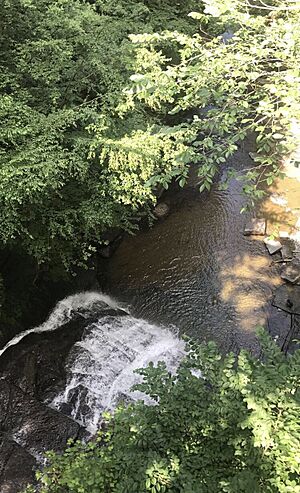 Rexford Falls ny from bridge.jpg