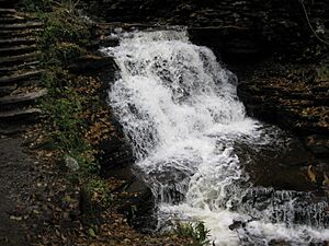 Ricketts Glen State Park Mohican Falls 7