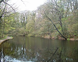 Rivelin Valley - River Rivelin Dam 01-05-06