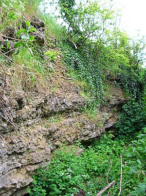 Rock Edge, Oxford - geograph.org.uk - 13863.jpg